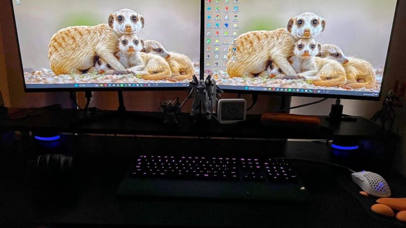 【2026年独立】追加投資ゼロ。「過去の遺産」を総動員して構築した、生存戦略としてのデスクツアー 