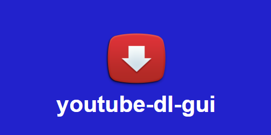 Youtube-DLGが0％で動画がダウンロードできない場合の対処法【代替案：Vividlを使用する】 